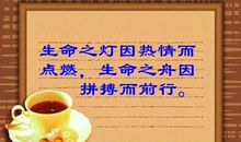 有关成功的格言