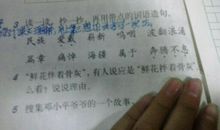 用怎样写一句话