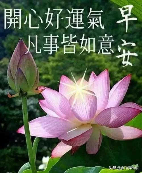 早上问候