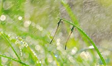 30岁人生感悟的句子带图片