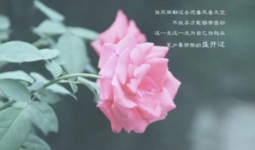 语录2018经典版