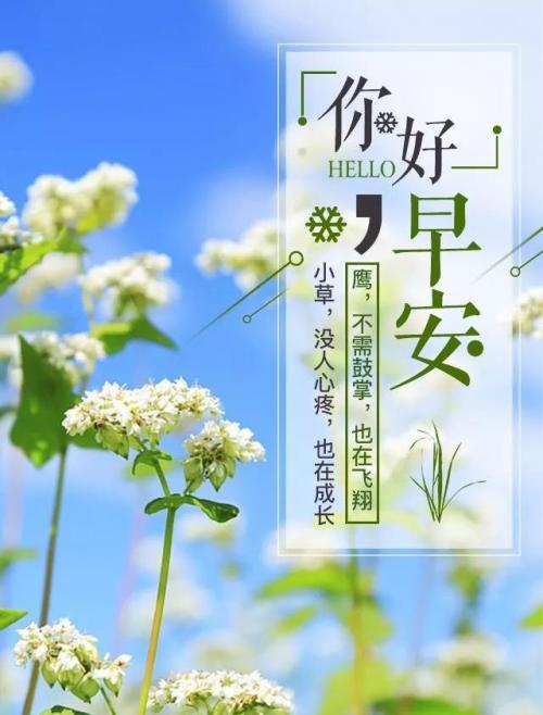 早上的祝福