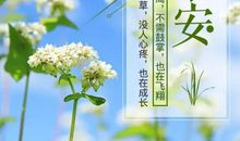 早上祝福语朋友圈