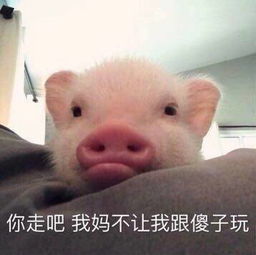 关于动物的简单说法
