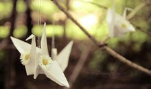 有趣人生感悟的句子图片:苦难,是化了妆的祝福