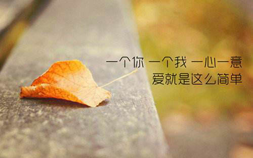 有关于爱情和生活的哲学性句子，有关于爱情的哲学性句子