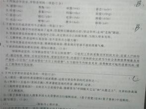 初中中文句子