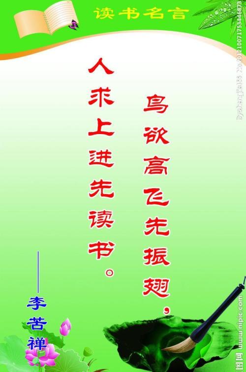 关于阅读的简短报价