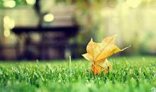 阳光励志的句子：人若有志，万事可为