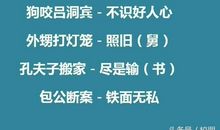 议论文引用谚语