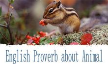 英文中动物的谚语