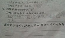 用直到造句大全