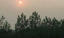 太阳升起的比喻句