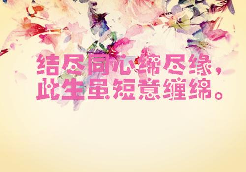 浪漫爱情宣言
