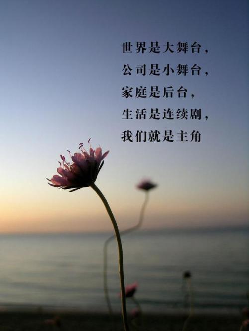 情感句子
