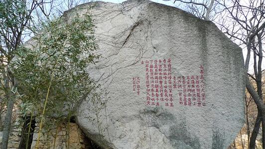 描述苍松的寓言句子