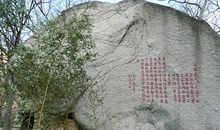 描写苍松比喻句