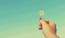 你可以一无所有,但绝不能一无是处