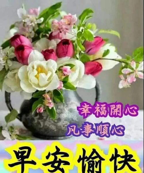 美丽的每日愿望