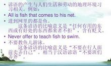 表达上有特点的谚语