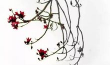 写景拟人句片段