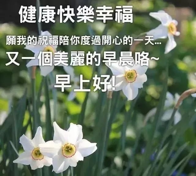 最美丽的祝福