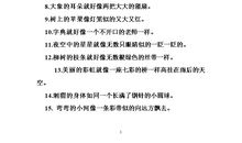 写牡丹花的比喻句