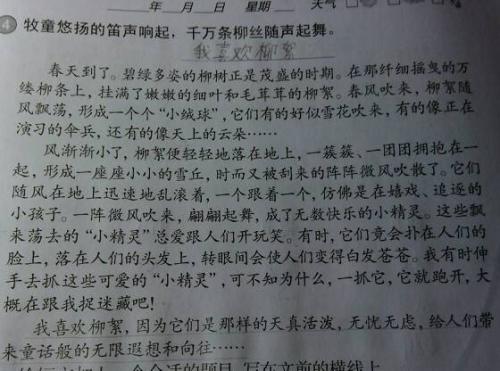 丁香的寓言