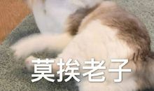 抖音最酷签名短句