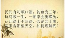 钓鱼饵料谚语