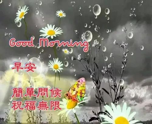 六月的祝福