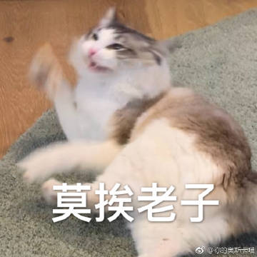 豆阴的酷句子