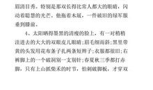 描写外貌的段落