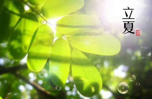 夏季问候短信