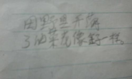 关于雪隐喻