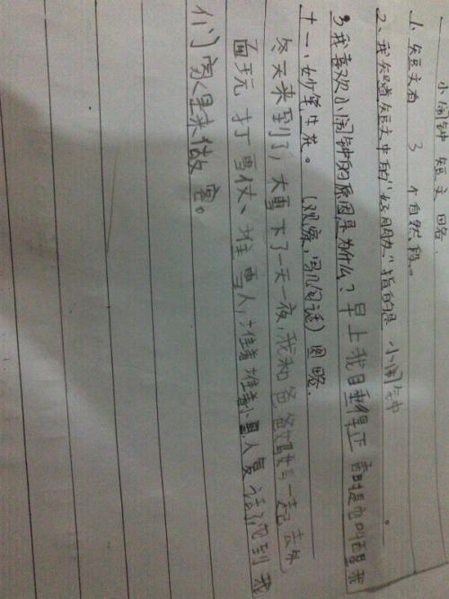 杨树写拟人化的句子