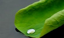 露珠描写比喻句