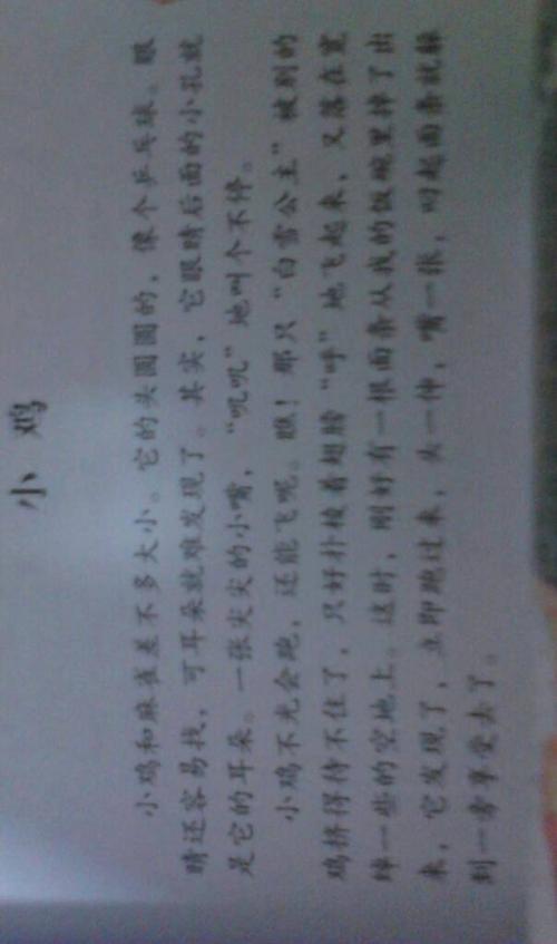 描述小动物外观的句子