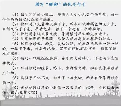 简短的好句子描述外观