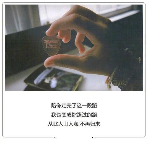 颤音好句子