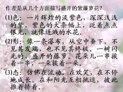 深情的句子
