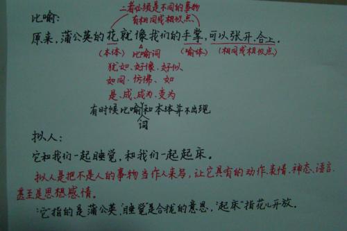比喻句四年级