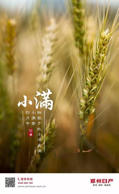 谚语