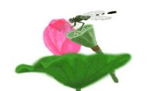 有关蜻蜓的比喻句