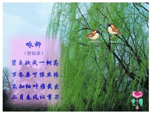 春天的阳光