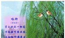 春天的阳光的句子