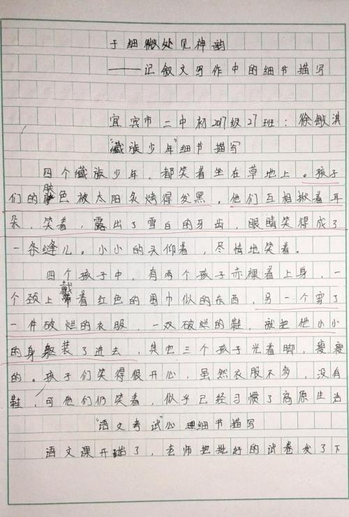 小动物的动作说明