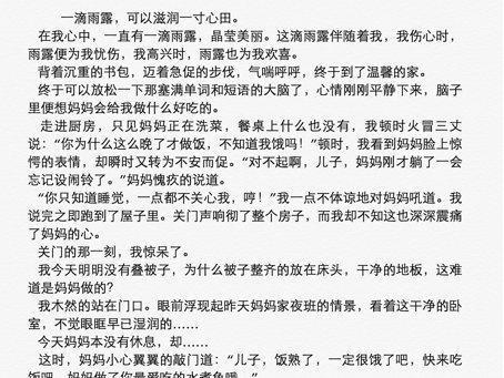 描述角色风度的一段