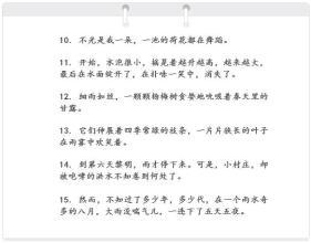 三年级