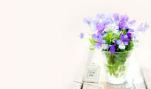 简短文艺短句岁月静好